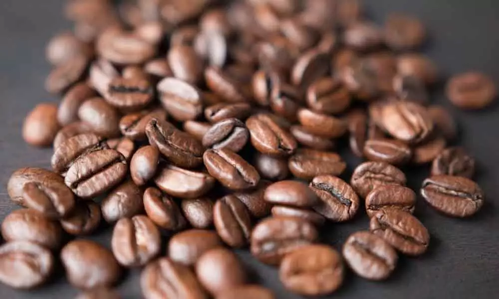 Top Coffee Brands That Offer the Freshest Beans Coffee Brands