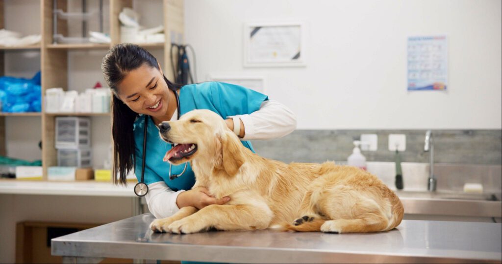 Nutrition And Weight Management Support From Animal Clinics